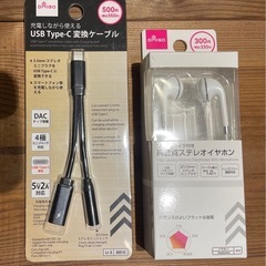 イヤホン➕変換ケーブル