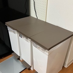 20Lのゴミ箱1個のみ