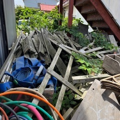 よく分からない木の山の画像