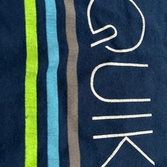 クイックシルバーtシャツの画像
