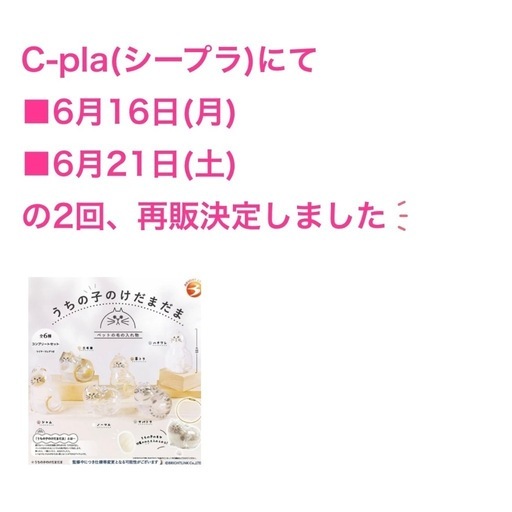 決まりました🐱うちの子のけだまだま / 三毛猫🐱 (hana(断捨離中