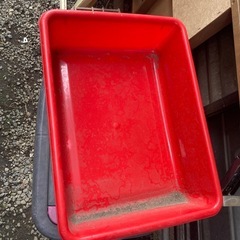 浅めのケースの画像