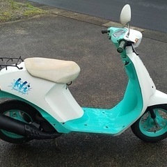 SUZUKI ハイ　Hi 白×緑　