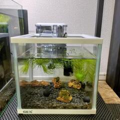 GEX 水槽