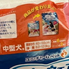 犬のオムツの画像