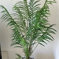 アレカパーム　フェイクグリーン　観葉植物　170cmの画像