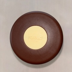 FORTEC フォルテック　スープジャー 300ml の画像