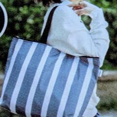 折りたたみ保冷バッグの画像