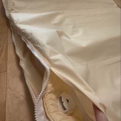 ダイエット　美容　発汗
ヒートマットの画像