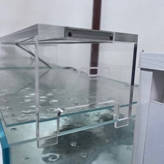 水槽の画像