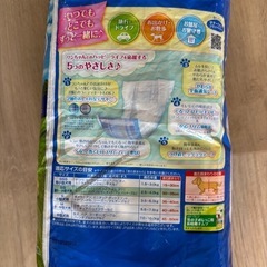 小型犬ssサイズ　43枚　犬用パンツ　オムツ　の画像