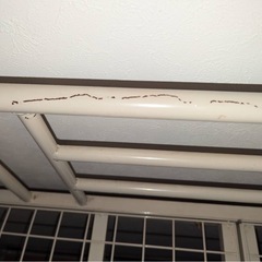 【今日明日引き取り限定】ベッド 無料【16時までに決まらなければ処分】の画像