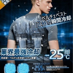 【新品未使用✨熱中症予防】ペルチェベスト 冷却ベスト 空調作業服...