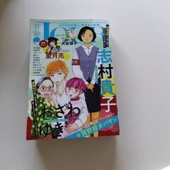 レディースコミック雑誌