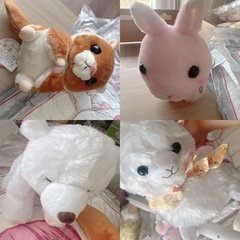 ぬいぐるみ　景品