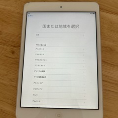 ipadmini16gb
