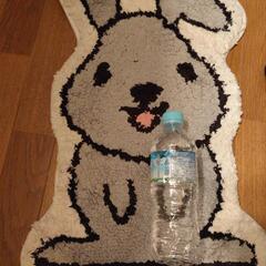 ラッピーのマットの画像