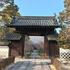 お寺ヨガ　＠岡山市中区小橋町