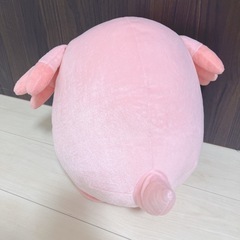 大きなラッキーの画像