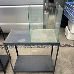 メダカ★水槽★水槽台★作業台★魚★ペット