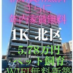 ⭐初期費用無料 年内家賃無料！！⭐ ペット飼育可能で周辺環…