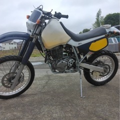 xr600r1996年 の画像