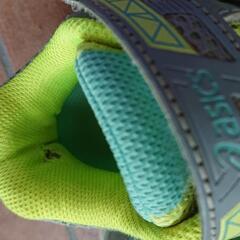 asics(アシックス)／22cmの画像
