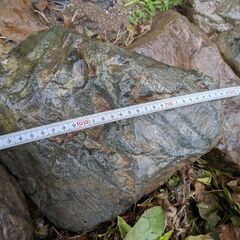 庭石（小）の画像