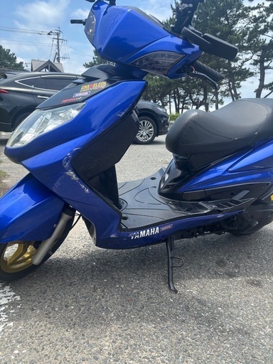 シグナス2型　カスタム有り！