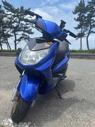 シグナス2型　カスタム有り！