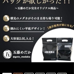 【メダカ】五式typeR GOD リアルロングフィン1ペア ＋ヘテロ1ペア の画像