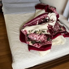 セミダブルベッド