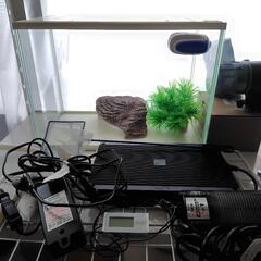 大型水槽ガラスと小型水槽セット　亀　魚の画像