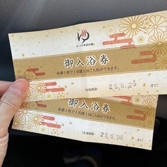 ユートピア仙台南　ペア入浴券