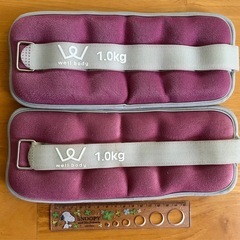well body アンクル・リストウエイト 1.0kg 筋トレ