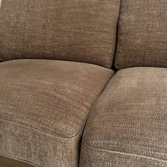 【元値53,000円】シュリンプ2p 2人掛け ソファの画像