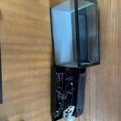 60センチ水槽