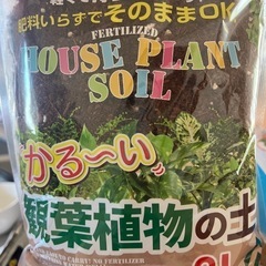 観葉植物の土