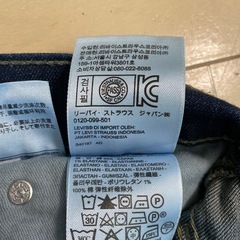 LEVI STRAUSS メンズデニムの画像