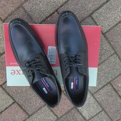 新品　texcy luxe の画像