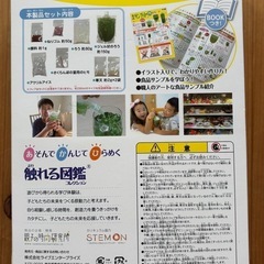 食品サンプルを作るキット クリームソーダの画像