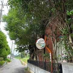アルバイト募集中！草刈りやチェーンソーなどでお庭の管理仕事