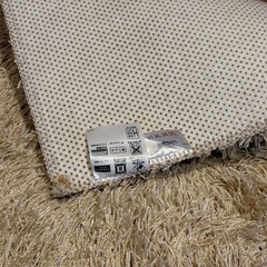 毛足の長いカーペットの画像