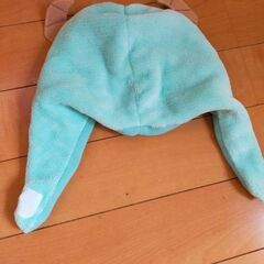 サリー　被り物の画像