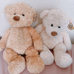 フワフワぬいぐるみ 2色セット　コストコ　くまいぐるみ　クマの画像