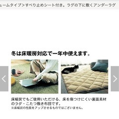 ラグの下に敷くアンダーラグの画像