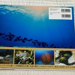 【新品】奄美生命の鼓動　海底のミステリーサークルの画像