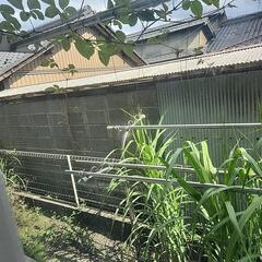 ベランダ掃除&草かり