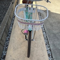 子供用　自転車　20インチ　女の子　ピンク×エメラルドグリーン　オートライトの画像