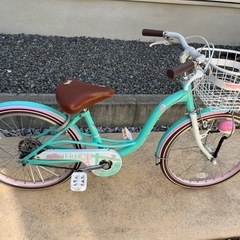 子供用　自転車　20インチ　女の子　ピンク×エメラルドグリーン　...